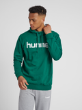 hmlGO COTTON LOGO HOODIE