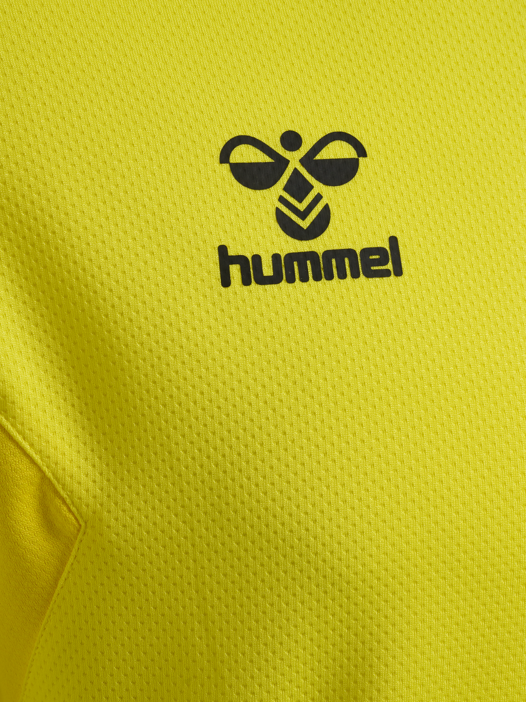 hmlAUTHENTIC PL HOODIE