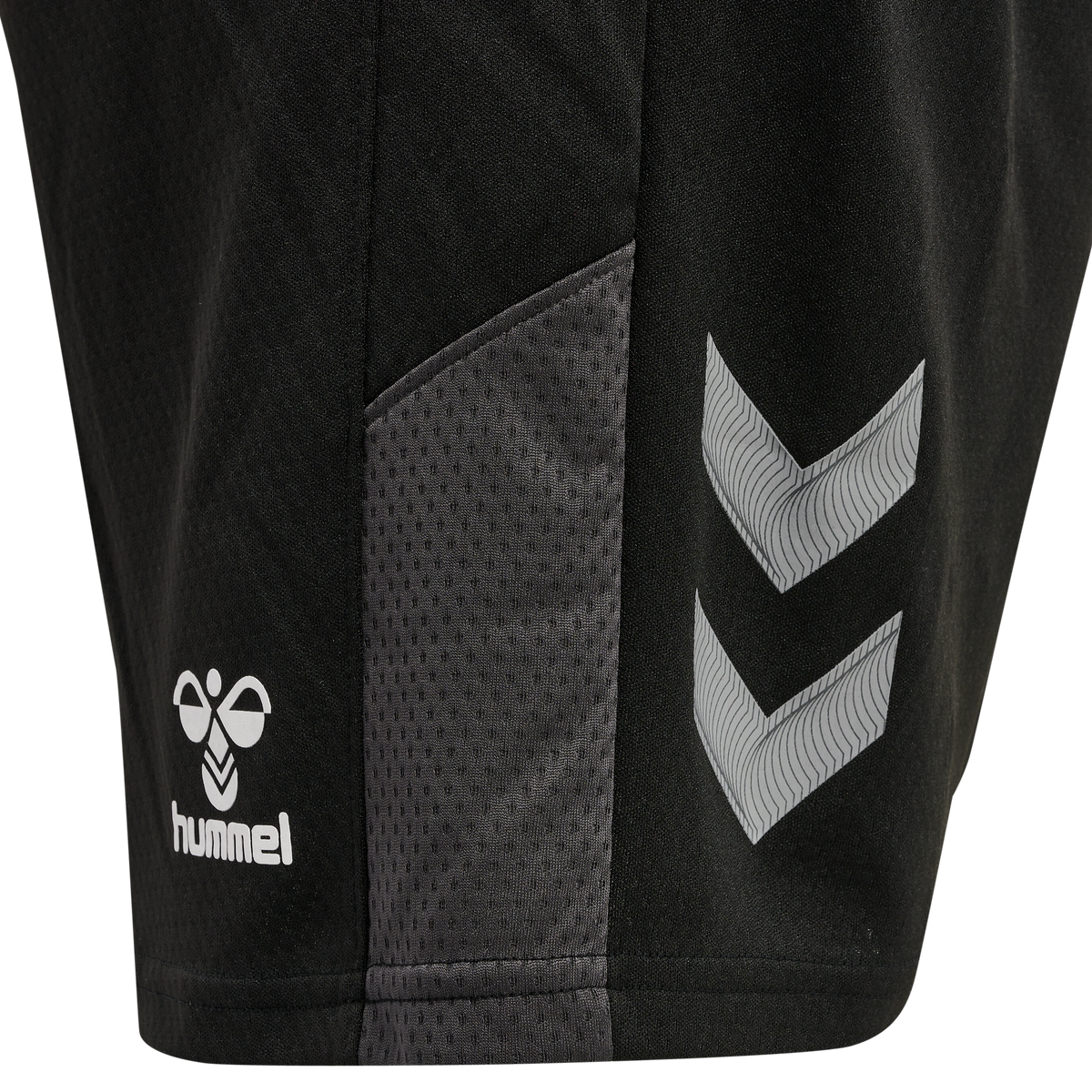 hmlLEAD TRAINER SHORTS