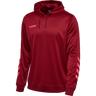 hmlPROMO POLY HOODIE