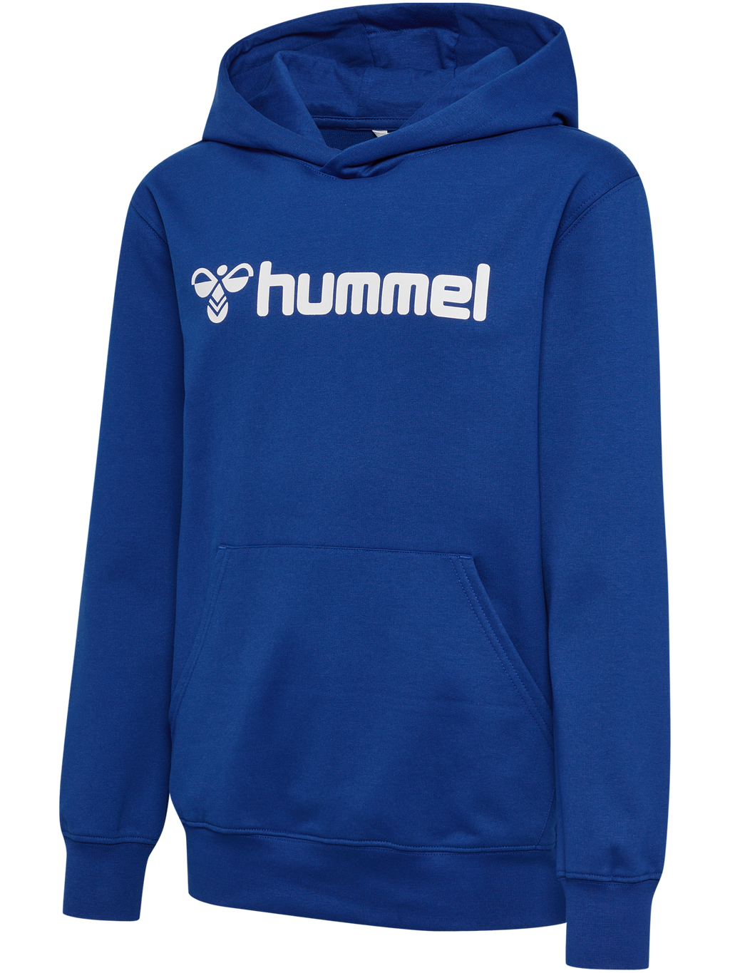 hmlGO 2.0 LOGO HOODIE KIDS