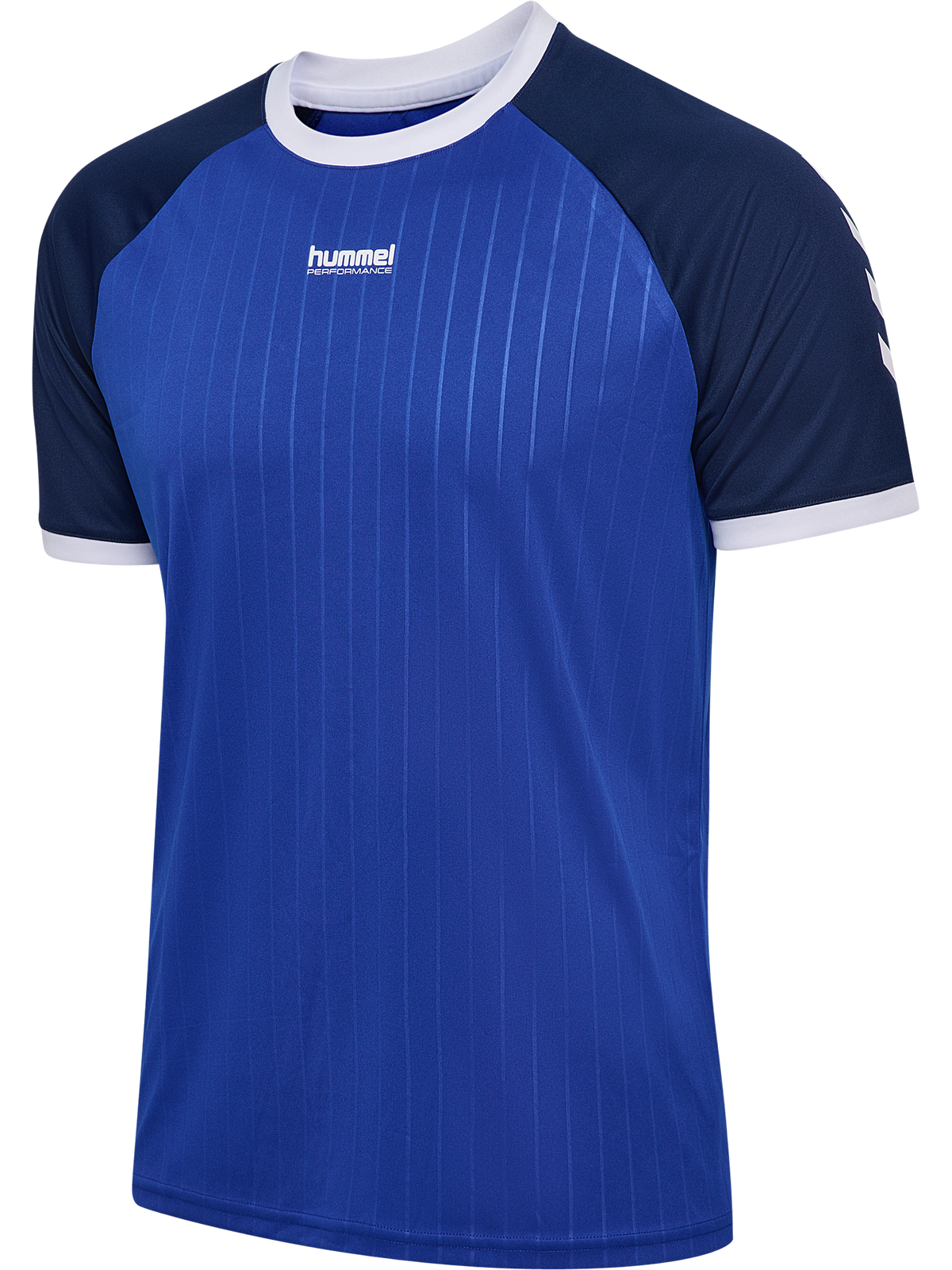hmlPULSE STRIPE T-SHIRT S/S