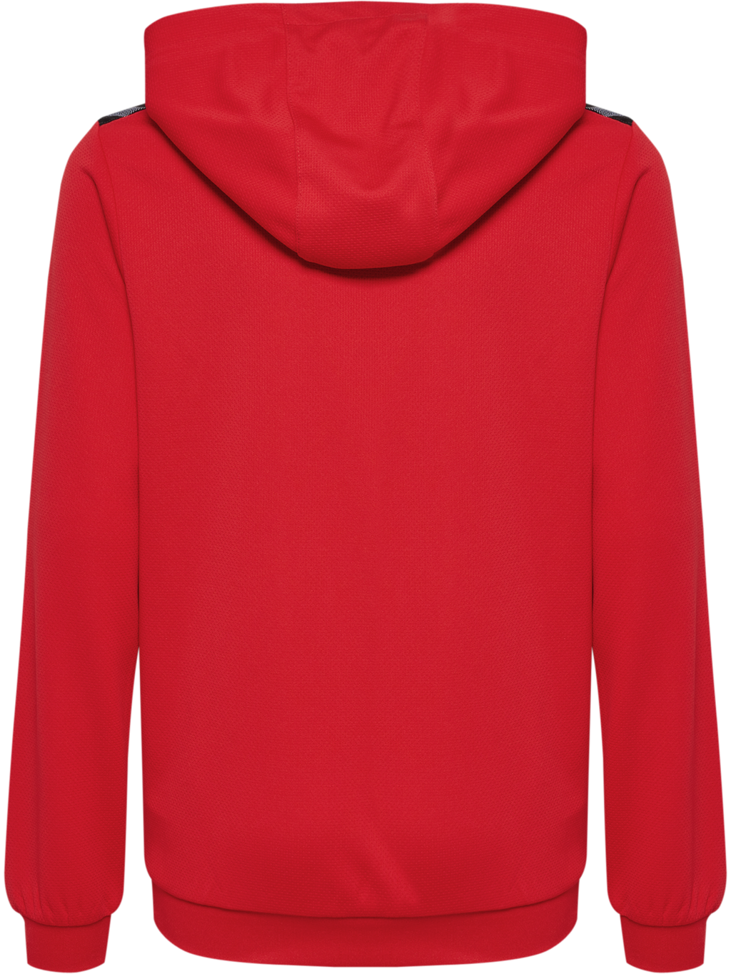 hmlAUTHENTIC PL HOODIE KIDS