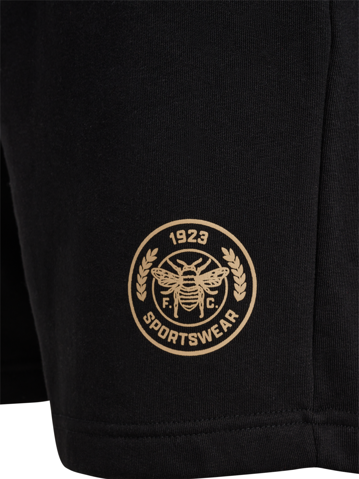hmlSWARM SHORTS