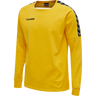 hmlAUTHENTIC TRAINING SWEAT