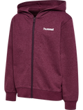 hmlJR FRAME SWEAT ZIP HOODIE