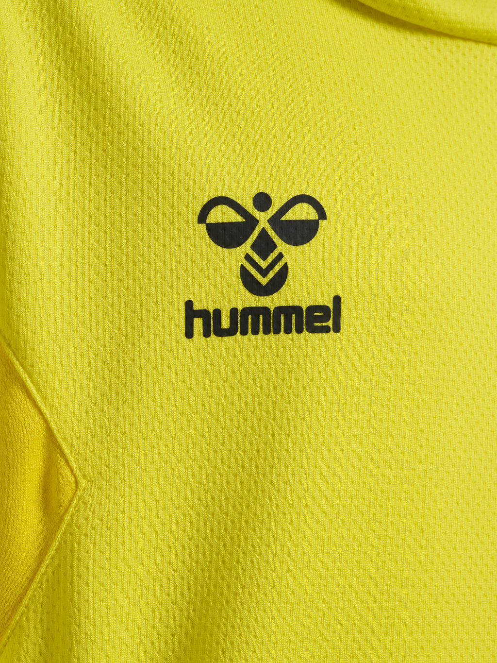 hmlAUTHENTIC PL HOODIE KIDS
